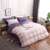 Soft Brushed Microfiber Bedding Set 4PCS Solid Color Minimalist Nordic Style Queen King Size