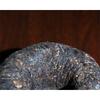 100g 50 Years 1 Pack Mini Tuocha Old Pu'er Tea Yunnan Pu'er Tea Puer Pu Er Tea