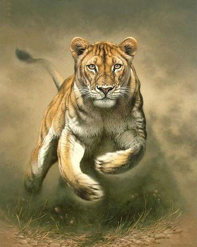 Diamond Painting Tiger Full Square Drill Needlework Diamond Embroidery Animal Cross Stitch Diamond Mosaic Home Decor