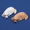 Kawaii Sleeping Model Cute Resin Sleeping Puppy Figures Car Dashboard Ornament Creative Tabletop Decoration Gifts