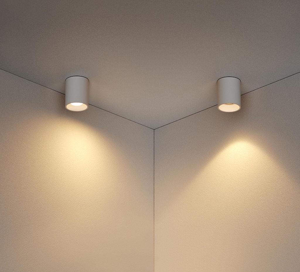 Compact Adjustable Angle LED Ceiling Spotlight for Bedrooms and Living Rooms