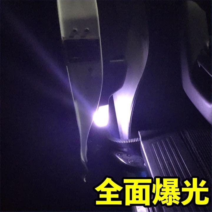 Step Wagon RK1/RK2/RK3/RK4/RK5/RK6 T10 LED Interior Light Back Lamp License