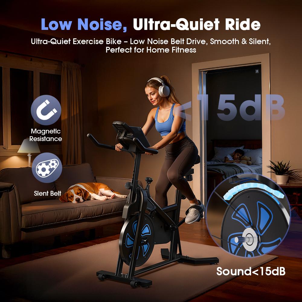 Formill QK116C Magnetic Exercise Bike 6KG Flywheel Adjustable Seat & Handlebar LCD Display Silent Indoor Cycling Bike for Home Fitness