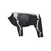 Pet Dog Skeleton Costume for Halloween Party Dress Up