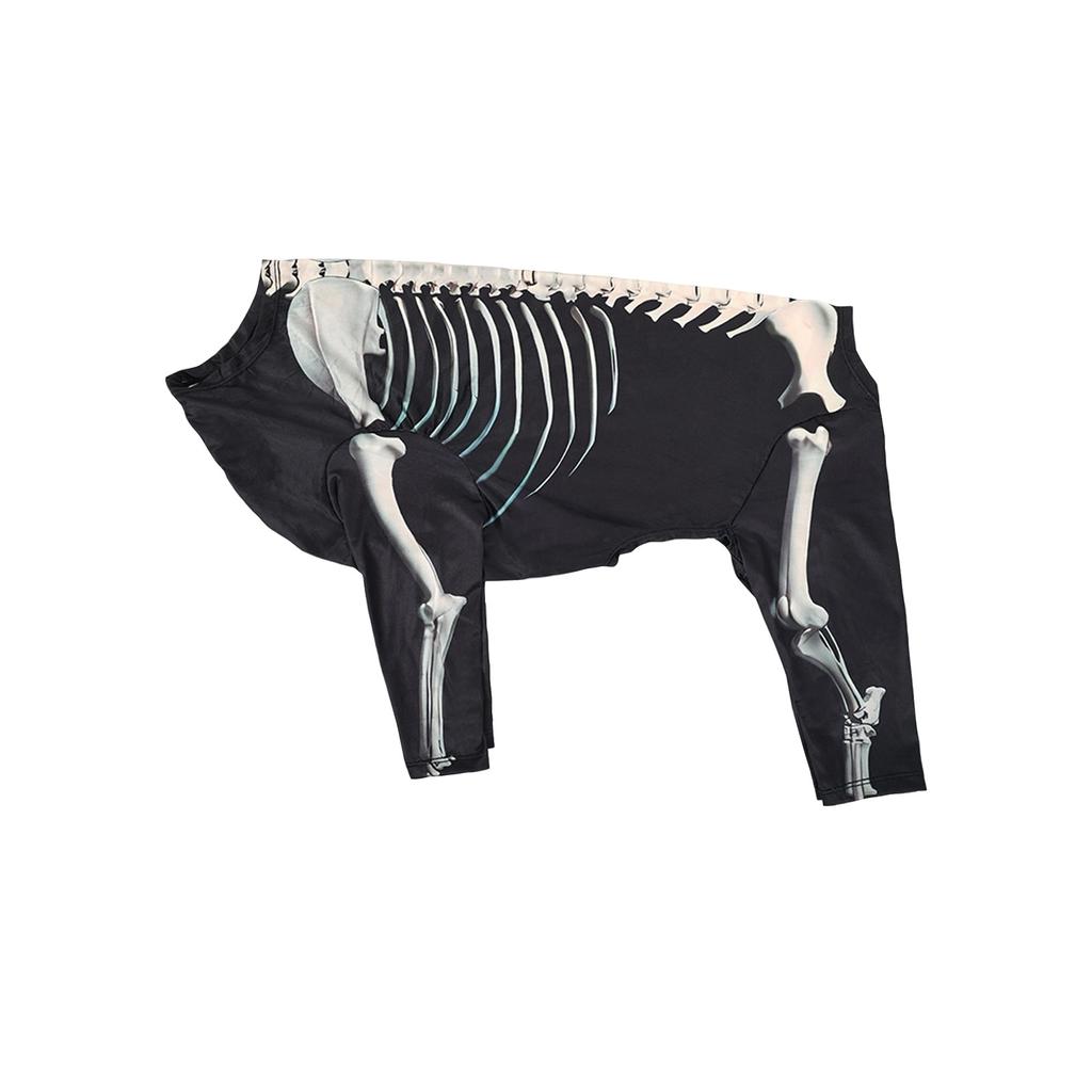 Pet Dog Skeleton Costume for Halloween Party Dress Up