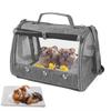 Transparent Outdoor Bird Carrier for Parrots, Cockatiels, Pigeons & Small Pets