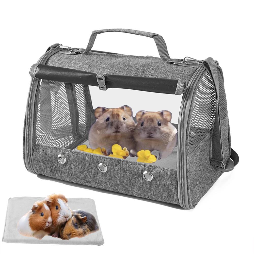 Transparent Outdoor Bird Carrier for Parrots, Cockatiels, Pigeons & Small Pets