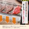 LITHON Solo Yakiniku Grill Freshly Grilled Piping Hot Meat At The Ultimate Solo Yakiniku Perfect for Those Living Drinking At or Enjoying a Drink At