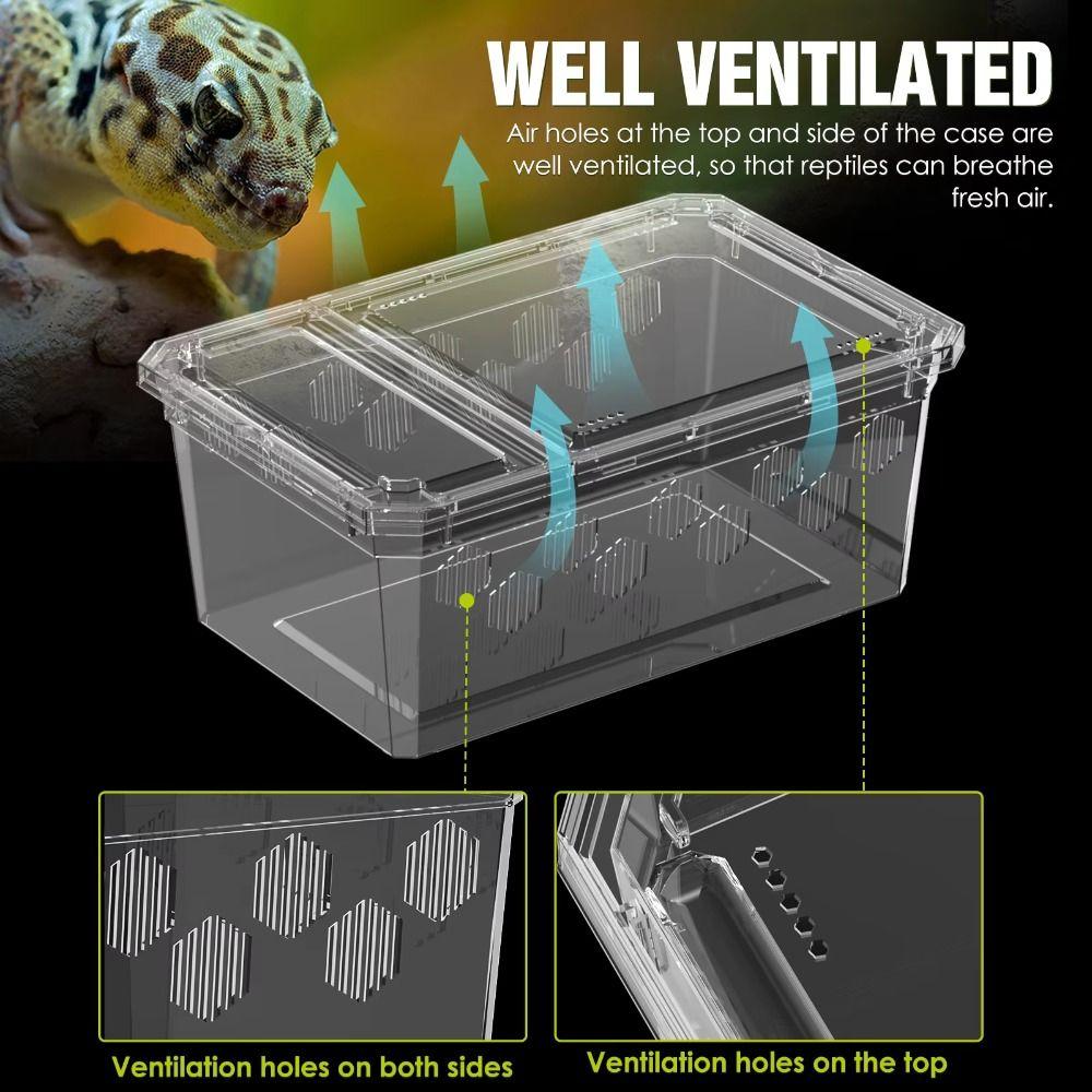 Breathable Reptile Breeding Box  For Lizards Geckos Snakes Spiders Scorpions Beetles Centipedes