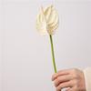 Wedding Background Artificial Anthurium Flower Home Decoration Party Floral Arrangement