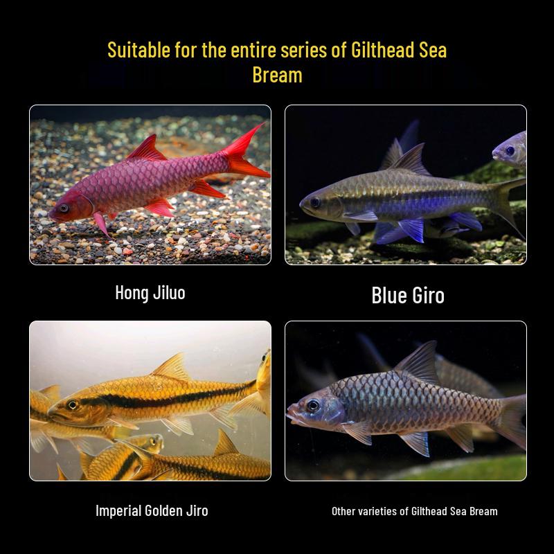 Dolphin Girolar High Protein Fish Food - Blue, Red, Gold Variants - Sinking, Color-Changing, Growth Formula for Bottom Feeders