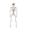 M-Moderní-1 kus Halloweenové kostry Dekorace Kostra celého těla s pohyblivými klouby Bílá