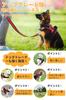 Veterinarian Recommended Dog OGURIYA Dog Dog Gentle on the Dog Ergonomically 5 Colors to Choose from [Newest Model, Harness] Harness,