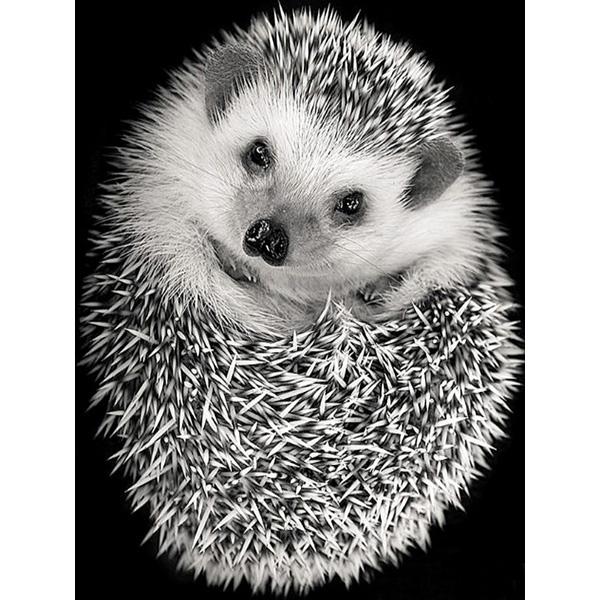 5D Diy Hedgehog Diamond Painting Full Drill Diamond Embroidery Animal Cross Stitch Kit Rhinestone Mosaic Home Decoration Gift