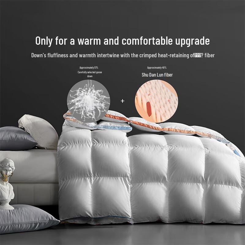 BELSLEE 60% White Goose Down Comforter