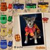 Slytherin Harry Potter Hufflepuff Ravenclaw Gryffindor Cat Bow Tie Pet Clothes