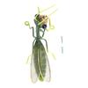 Tooarts Praying Mantis Wall Ornaments Iron Insects Mini Animal Craft Garden Micro Landscape Photography Props