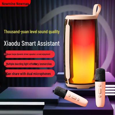 Newmine M18 Portable KTV Bluetooth Speaker with Dual Microphones CN Plug (adapter Included)