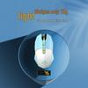 Dareu EM910 Mumarman Lightweight RGB Gaming Mouse