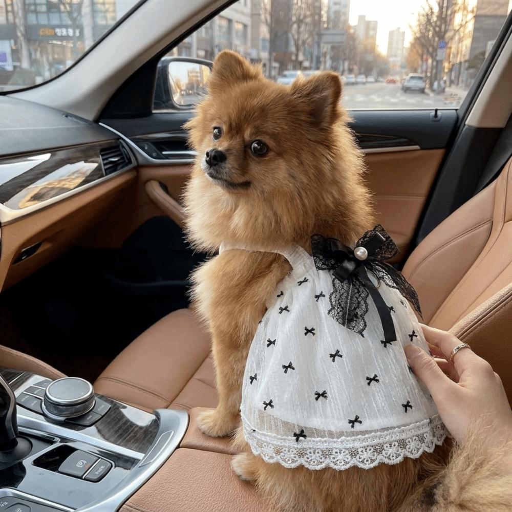 Lace Ruffle Hem Pet Lace Bowknot Dress Breathable Pet Mesh Camisole Skirt Dog Vest Summer Season