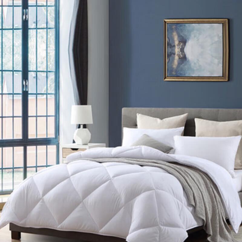 

Mengjie Luxurious Ten-Hole Fiber Quilt