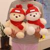 New Doll Bear Doll Plush Toy Children's Birthday Gift Girls Hug Bear Doll Teddy Bear Doll
