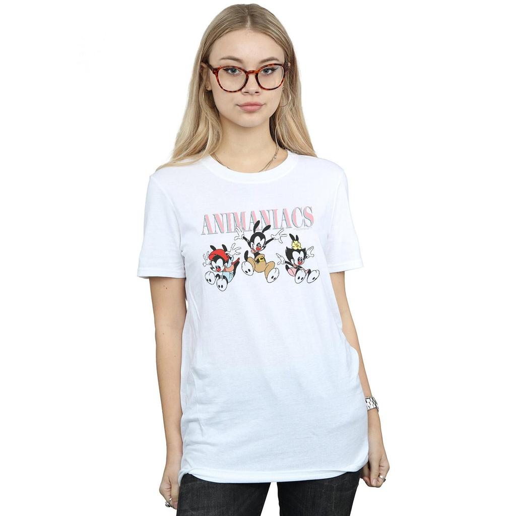 Animaniacs Womens/Ladies Group Jump Cotton Boyfriend T-Shirt