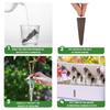 50 Stück Samenwachstumsschwämme, Ersatzschwämme für Wurzelwachstum, Setzlings-Starterstopfen, Samenstarter, Seed Pod, Hydrokultur-Gartenbepflanzung