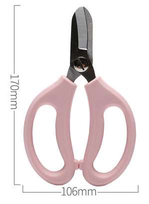 Gardening Floral Scissors Home Wide Head Scissors Flowers Twigs Pruning Pruning Pruning Tools Household Hardware