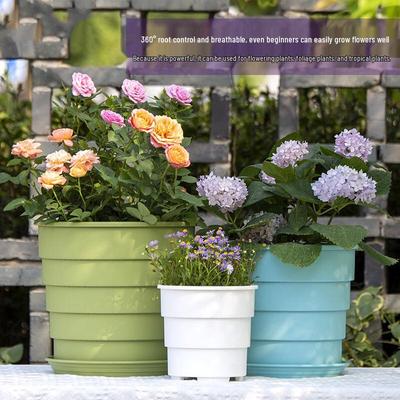 FenggeTu Root Control Resin Flower Pot