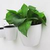 Automatic Water Absorption Lazy Flower Pot Water Culture Wall Hanging Basin