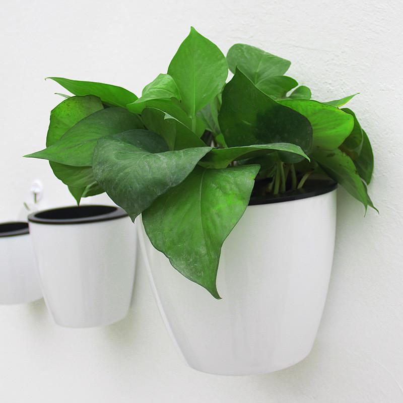 Automatic Water Absorption Lazy Flower Pot Water Culture Wall Hanging Basin