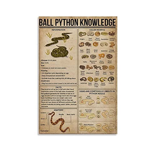 Veidsuh Ball Python Knowledge Retro Vintage Tin Sign Metal Sign Decoration Metal Poster Plaque for Bar Cafe Club Garage in sign