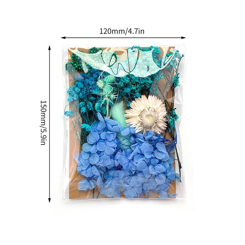 Dried Flower Material Set Dried Flower Package Flower Arranging Supplies for DIY