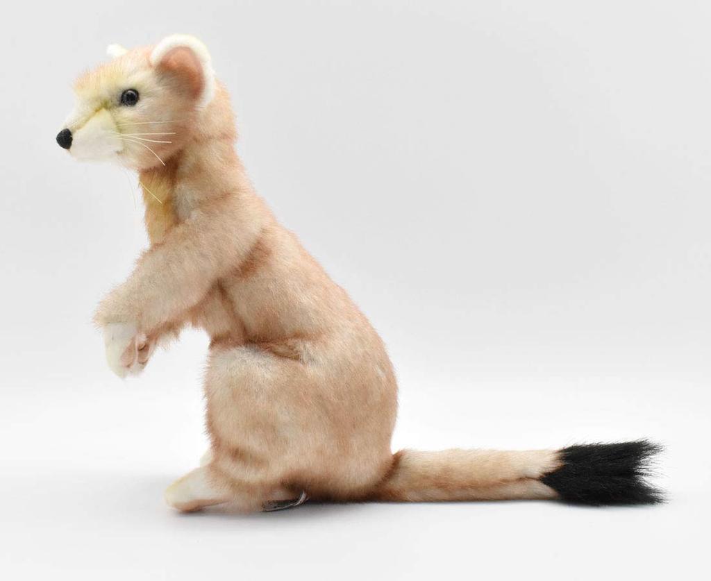 Hansa Weasel No.5729