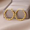 Classic Twist Hoop Earrings For Women Girls Stainless Steel Gold Color Earrings Punk Jewelry Pendientes Mujer