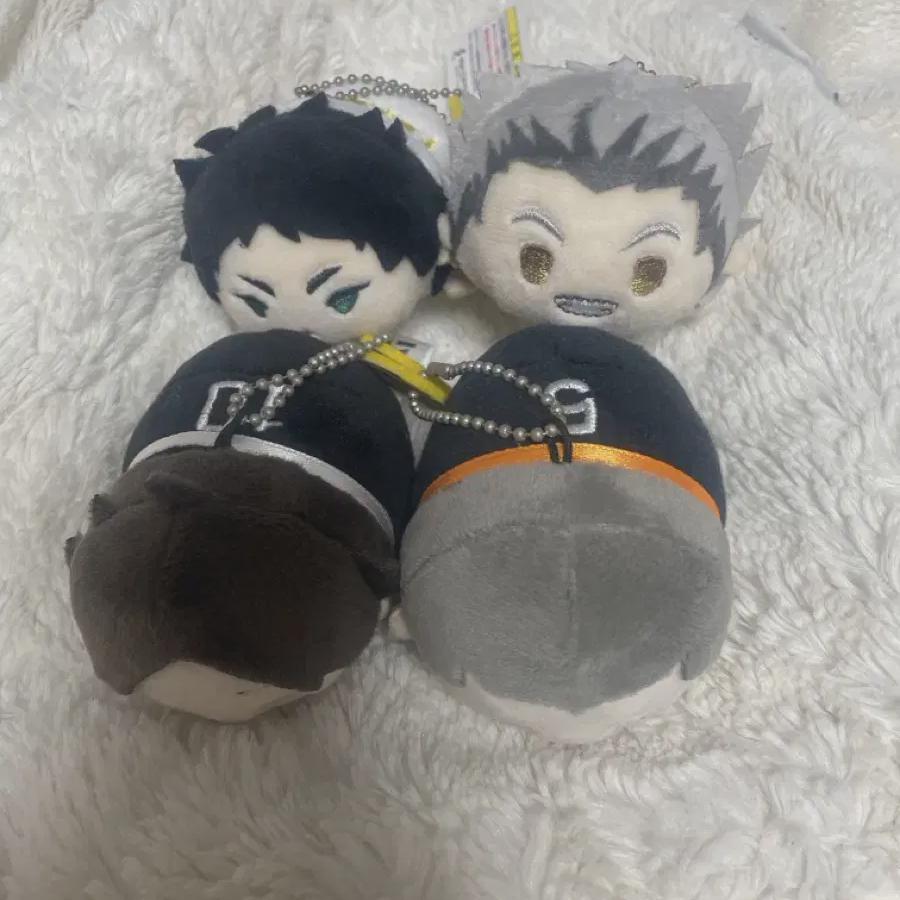 

Хайкю Мочимасу