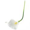 Photography Artificial Flower Washable Xmas Decoration 10pcs Indoor Outdoor