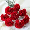 DIY Craft Artificial Red Carnations Real Touch Fake Plants  Mother's Day Gift