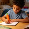 Carrot Shape Voice Recorder Pen with 60-Second Recording Cute Ballpoint for Students Teachers Funny Gift for Classroom Office