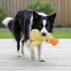 Hunde-Beruhigungs-Stofftier Multifunktionales Zähneknirschen Entenspielzeug für Hunde Interaktive Unterhaltungsaktivitäten