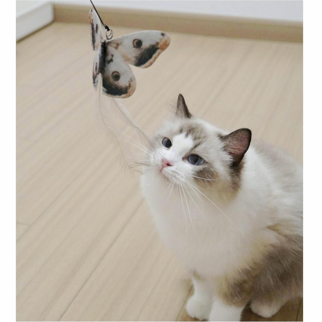 3 of Ni Cat Toy Feather Replacement Cat Teaser Cat Toy Feather Fishing Rod (1) Replacement Feathers (3)