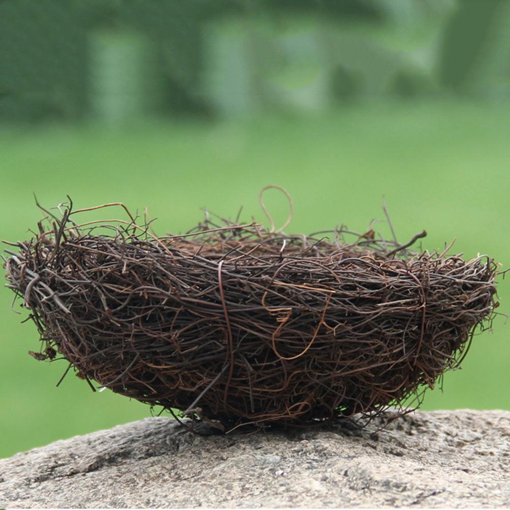 Гнездо маслом. Птичье гнездо. Гнездо вьюрка. Is nest. Гнездо вик.