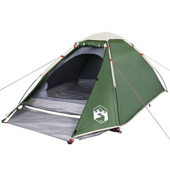 VidaXL Tente de camping à dôme 4 personne vert imperméable, tente, abri de camping, abri de jardin, tente de jardin, abri 94769