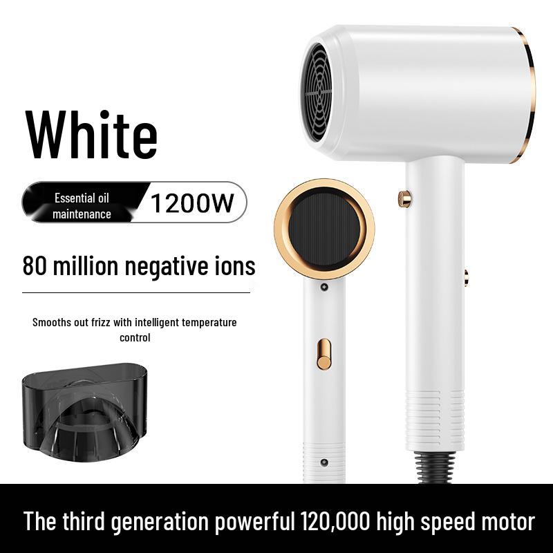 High-Power Salon Hair Dryer with Strong Wind and Negative Ion Care
