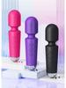 Silent Silicone AV Vibrator: Variable Frequency Massager for Women, Second Climax Self-Pleasure Toy, Erotic Jumping Egg