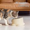 Stainless Steel Dual-Use Cat Bowl: Slanted, Anti-Tip, Easy-to-Clean Pet Feeding and Water Bowl