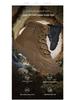 Men's Large Size Anti-slip Outdoor Hiking Combat Boots - Casual Lace-up Thick-soled Military Boots