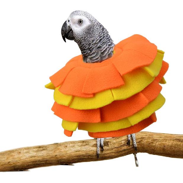 Bird Collar for Congo n Grey Parrots Feather Plucking Parrot Anti Bite Collar Full Body Shield