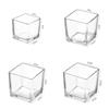 Planter Transprent Square Glass Vase Geometric Hydroponic Flower Pot Cube Vase Desktop Decor